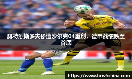 球速体育平台登录入口