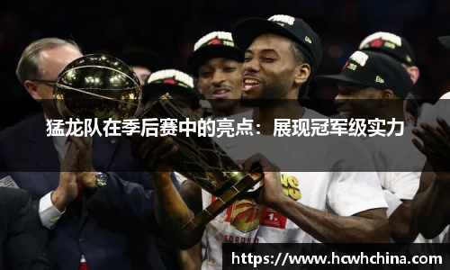 球速体育平台登录入口