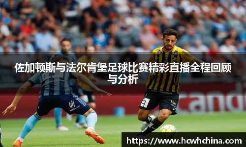 乐鱼体育