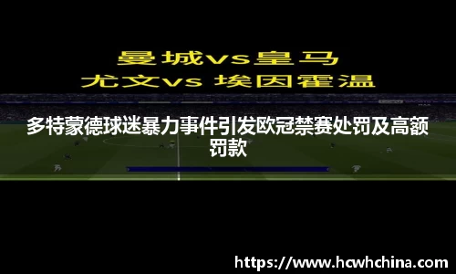 多特蒙德球迷暴力事件引发欧冠禁赛处罚及高额罚款